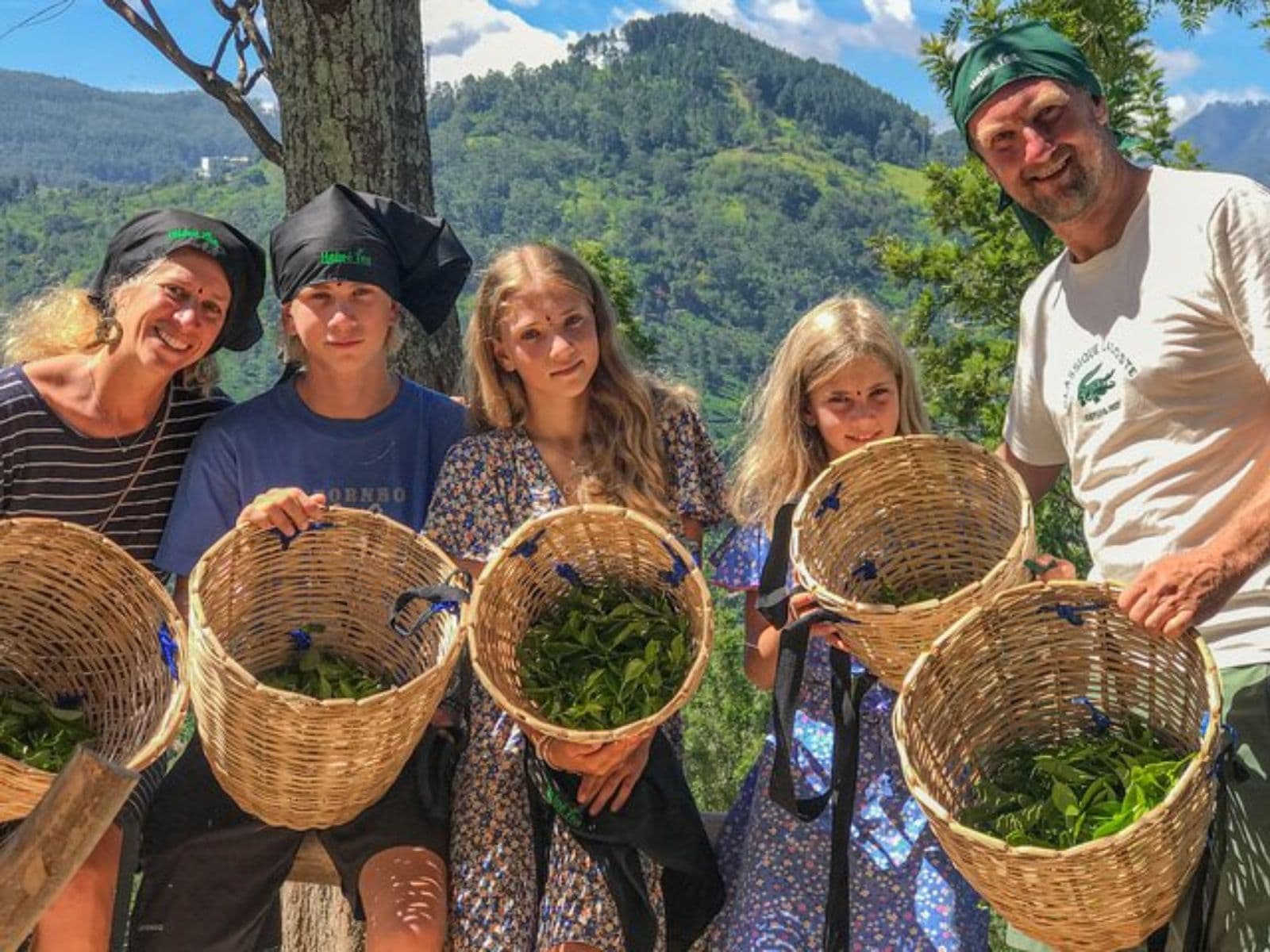 Семья собирает чайные листья на плантации в горах Шри-Ланки